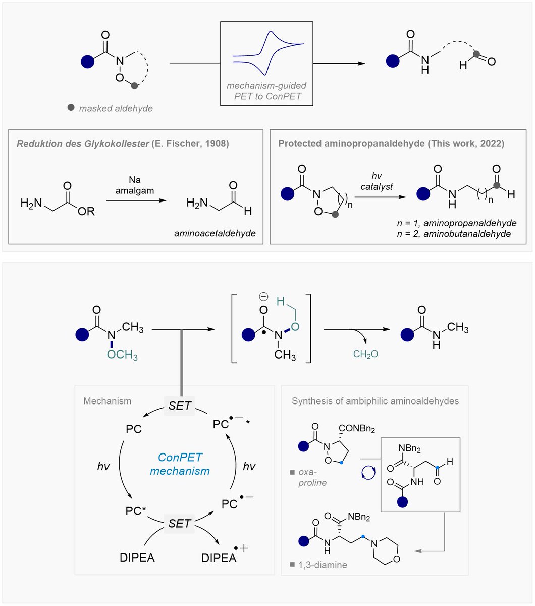 GilmourLab (@gilmourlab) on Twitter photo Excited to share our N–O bond cleavage of Weinreb amides through a mechanism-guided evolution of a PET to ConPET platform. Just accepted in <a href="/ACSCatalysis/">ACS Catalysis</a>! Awesome work by Julia Soika, <a href="/Calum_McL/">Calum McLaughlin</a>, Tomáš Neveselý, <a href="/GDaniliuc/">Constantin G. Daniliuc</a> and <a href="/Johnjmol/">J. J. Molloy Lab</a>! <a href="/WWU_Muenster/">Universität Münster</a>, <a href="/chemieverband/">VCI</a> <a href="/AvHStiftung/">Humboldt-Stiftung</a> Excited to share our N–O bond cleavage of Weinreb amides through a mechanism-guided evolution of a PET to ConPET platform. Just accepted in <a href="/ACSCatalysis/">ACS Catalysis</a>! Awesome work by Julia Soika, <a href="/Calum_McL/">Calum McLaughlin</a>, Tomáš Neveselý, <a href="/GDaniliuc/">Constantin G. Daniliuc</a> and <a href="/Johnjmol/">J. J. Molloy Lab</a>! <a href="/WWU_Muenster/">Universität Münster</a>, <a href="/chemieverband/">VCI</a> <a href="/AvHStiftung/">Humboldt-Stiftung</a>