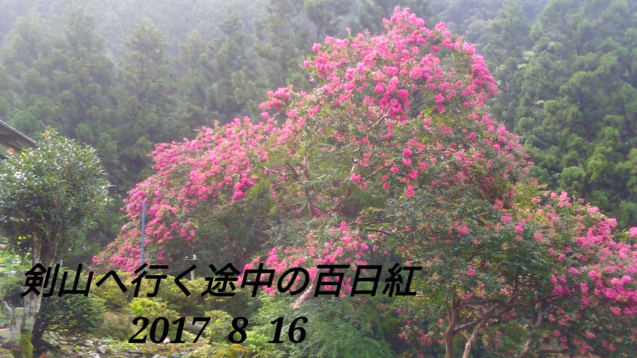Follow 北斎娘 応為栄女集 S Oieijo Latest Tweets Twitter