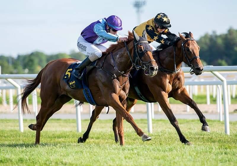 patriciagordin's tweet photo. 2a segern i år för #GreenBackspin🤩😍🙏����🍾🥂🐎🥇🏆 guldhandicap 1200 m gräs https://t.co/UcvkA0ENM1