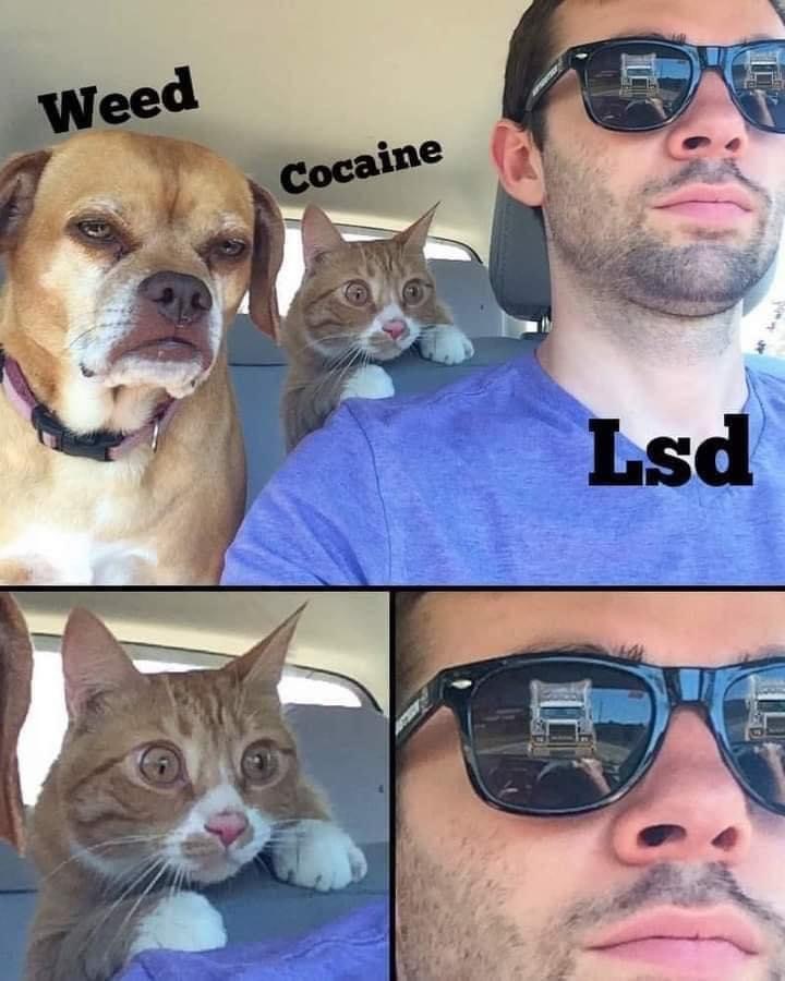 letonnaii's tweet image. 