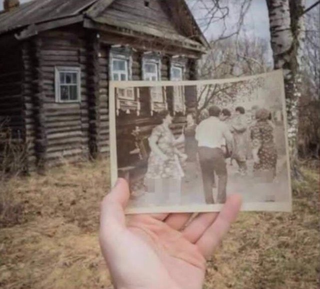 محمود درويش tweet media