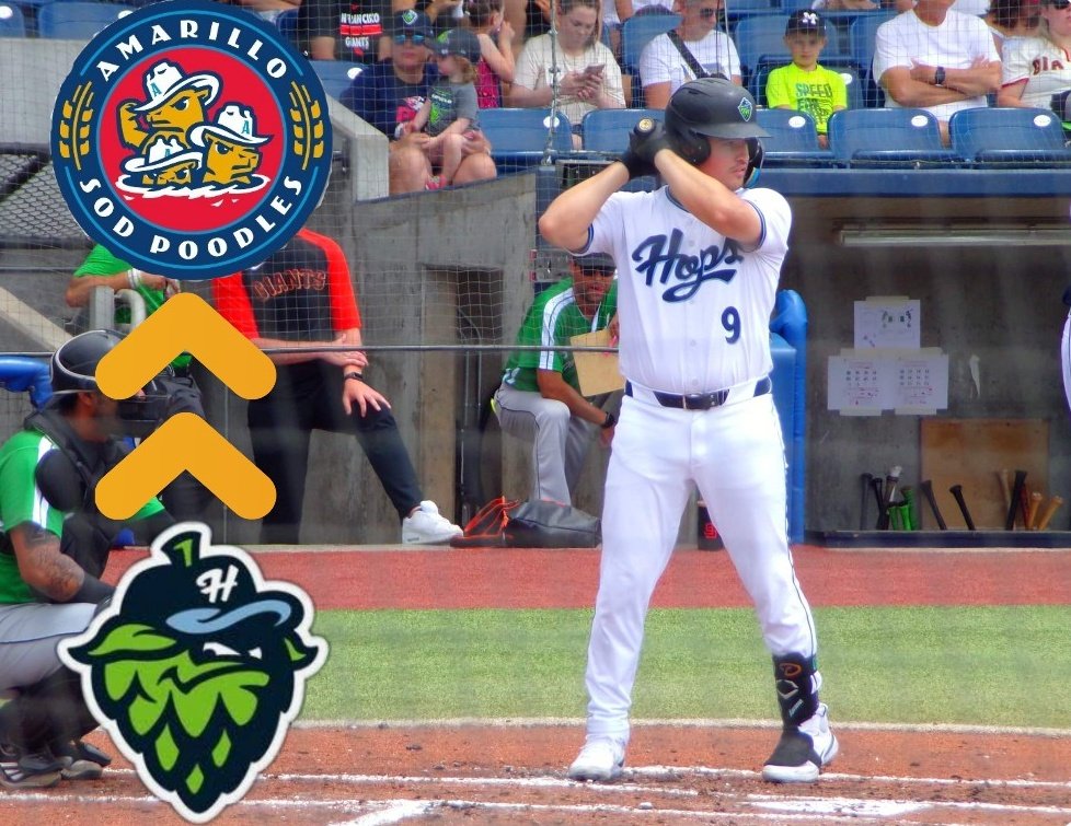 Hippidy Hops Guy tweet media