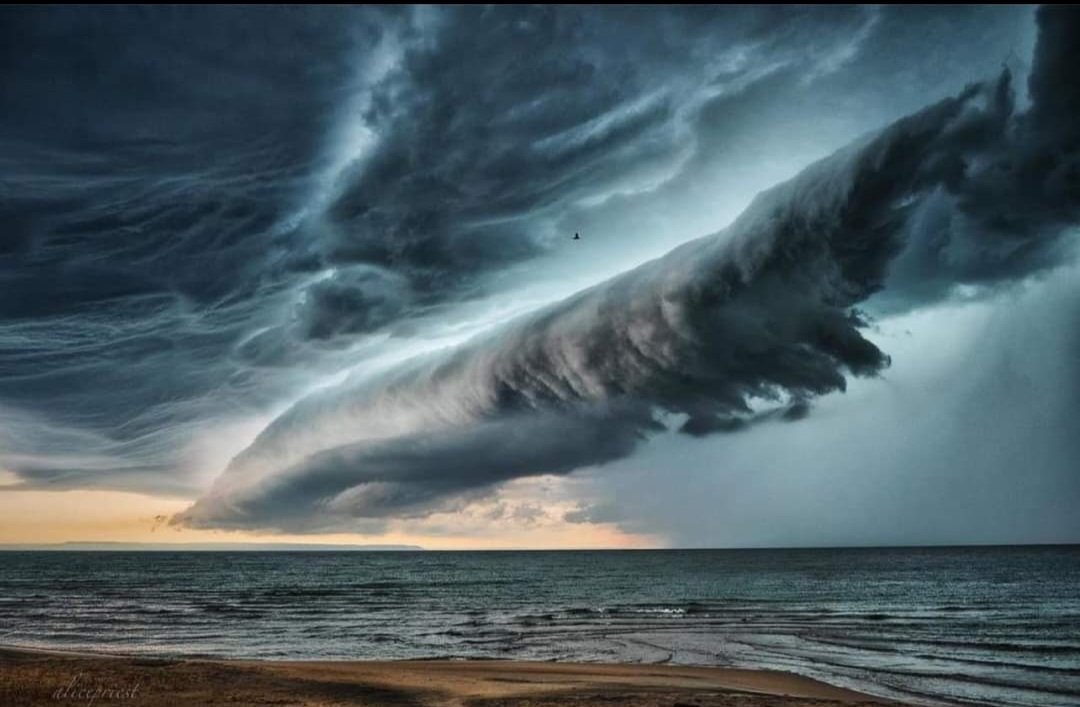 WinchysWorld's tweet photo. Here is one of today's storm in Ontario @JayIsPainting https://t.co/9KzHsy5rVF