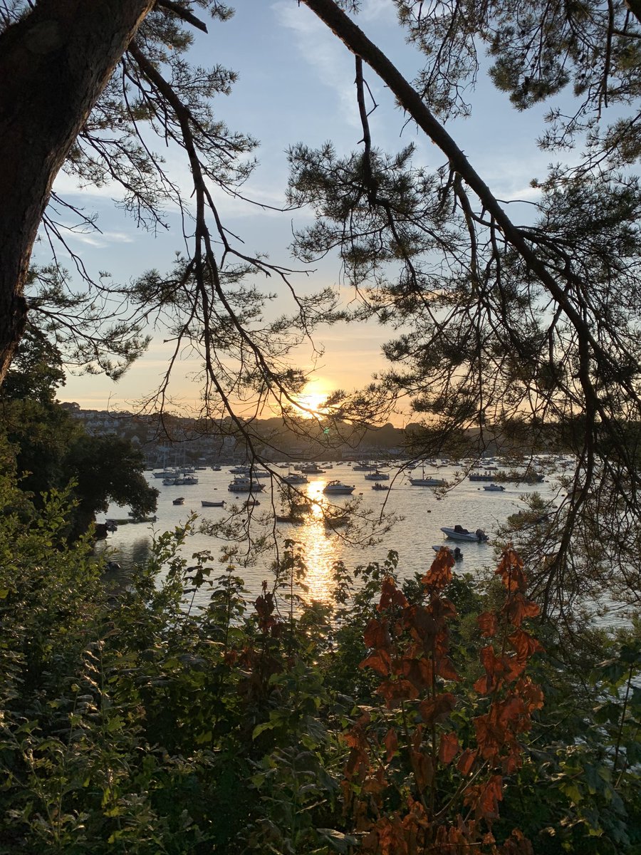HenlakeBats's tweet photo. Office for the evening ❤️
It’s a hard job but somebody has to do it 😀
#batsurvey #Devon https://t.co/GhF12cfClC