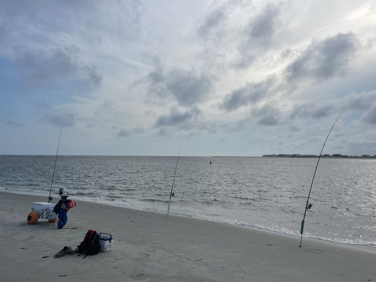 MofaMilfer's tweet photo. #mofa lines are out for 🦈, no #babyshark #legend @holdenbeach https://t.co/FPkGn6w9i4