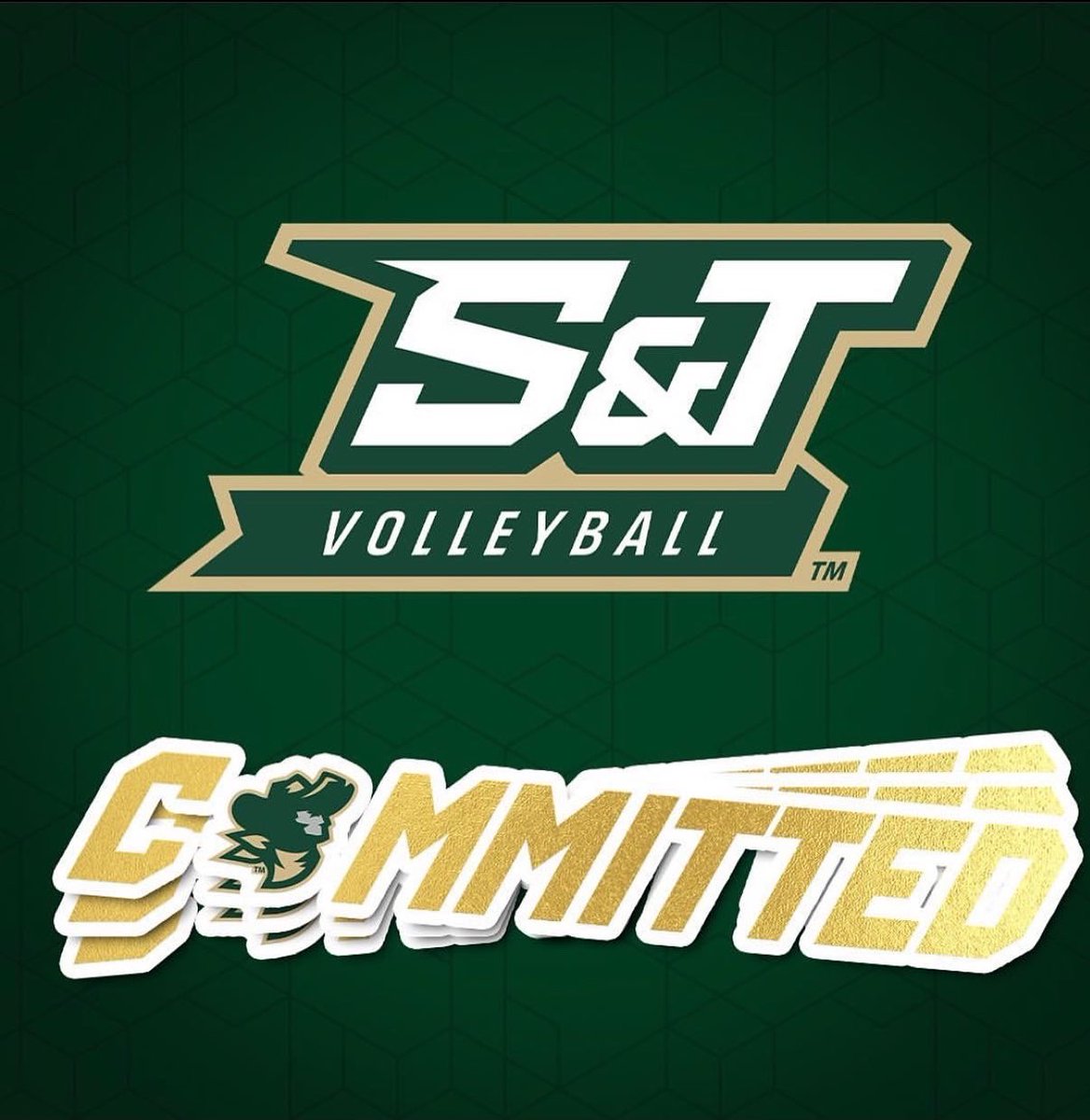 Camden Seaver tweet media