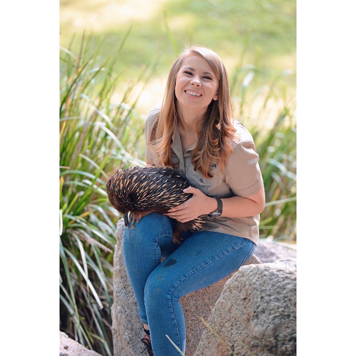 BindiIrwin's tweet photo. Saying goodbye to our beautiful family member of 38 years. The sweetest, kindest, most wonderful echidna you ever did meet. Rest In Peace, angel. 🤍 https://t.co/DMQ37HwD9x