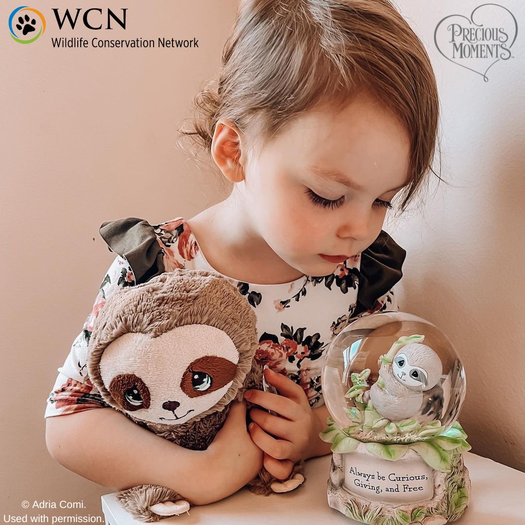 preciousmoment's tweet photo. Are sloths one of your favorite animals? We can tell that little Athena loves them!

#PreciousMoments #LifesPreciousMoments #Sloths #SlothLove #SlothDecor #PreciousEarth #NurseryDecor #KidsRoomDecor @wildnetorg https://t.co/qmOkVgr9g2