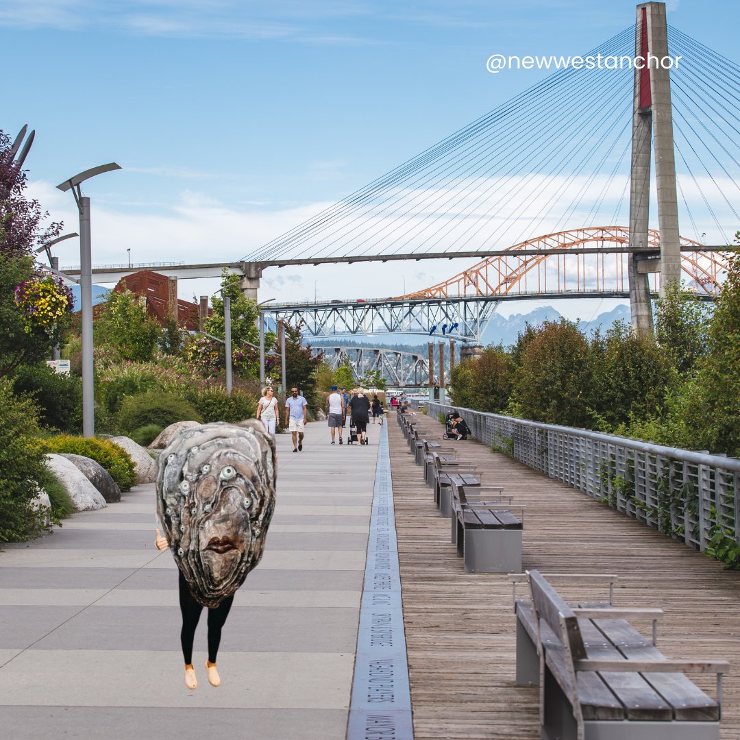 New West Anchor tweet media