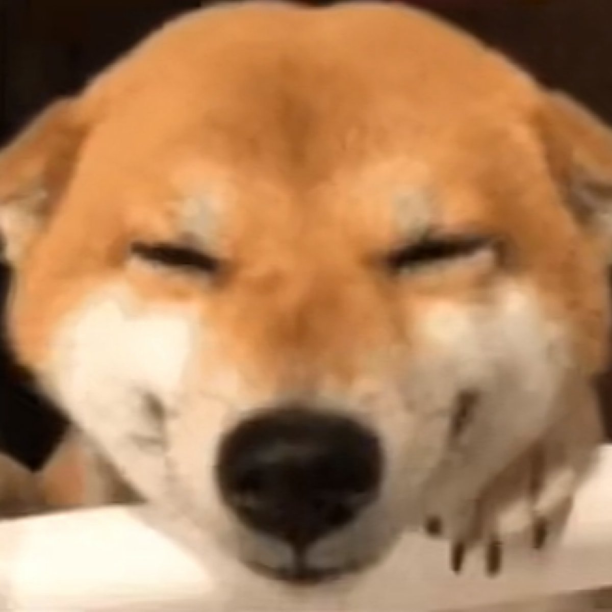 #TOMORROW_X_TOGETHER