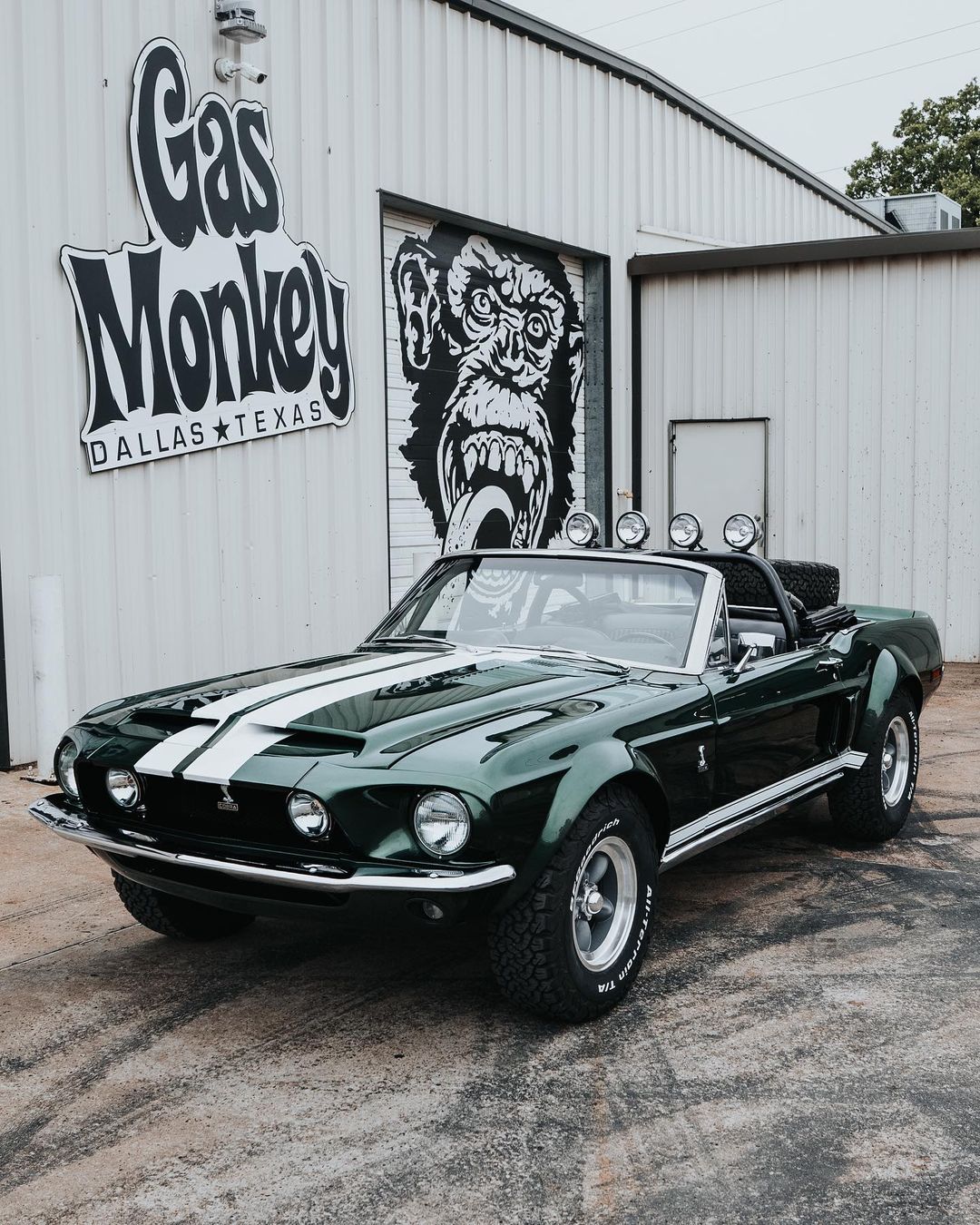 Gas on sale monkey cars