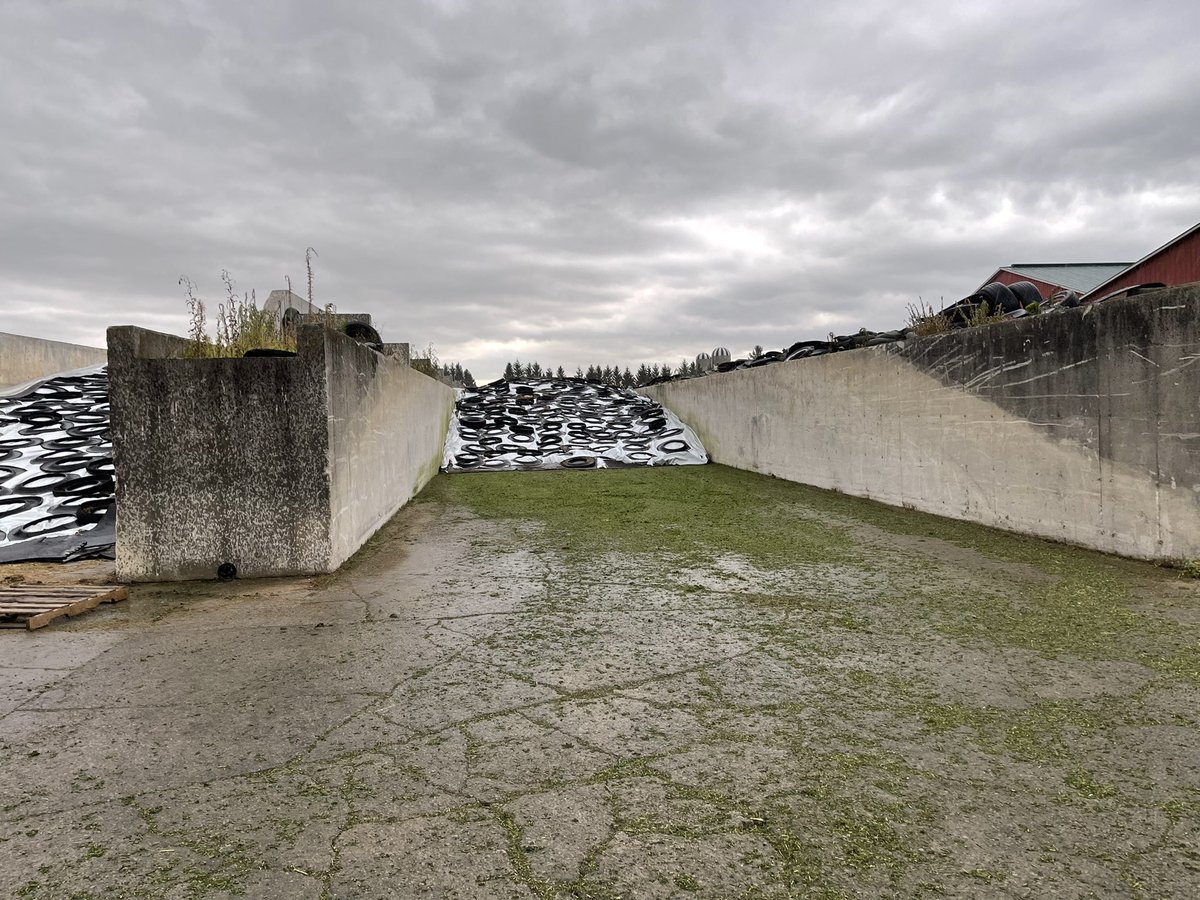 3rd cut in and bunk covered just before the rain #ontag #onstorm