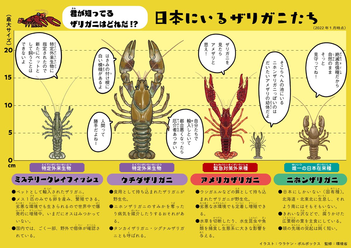 外来種に興味もってもらったついでに、アメリカザリガニのヤバさについても知ってほしい。ノリが完全に世紀末ヒャッハー🦞。
https://t.co/mLdvEruRIZ 