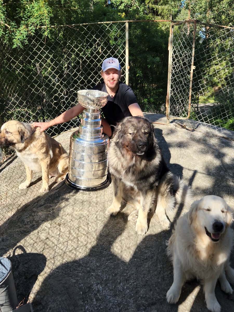 keeperofthecup's tweet photo. For Mikko Rantanen, "Its all about dogs.  His dogs, friends dogs...didnt matter they all wanted photos with the #StanleyCup and Mikko of course! @Avalanche @nhl
@HockeyHallFame https://t.co/YTufHsVj9g
