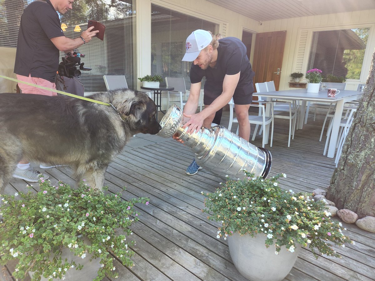 keeperofthecup's tweet photo. For Mikko Rantanen, "Its all about dogs.  His dogs, friends dogs...didnt matter they all wanted photos with the #StanleyCup and Mikko of course! @Avalanche @nhl
@HockeyHallFame https://t.co/YTufHsVj9g