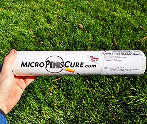 Micro… Penis… Cure?