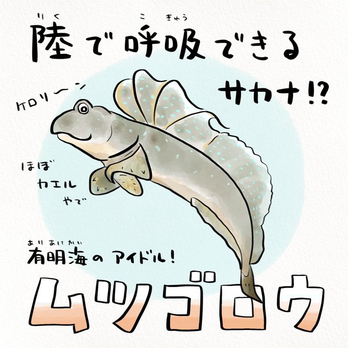 ムツゴロウのtwitterイラスト検索結果