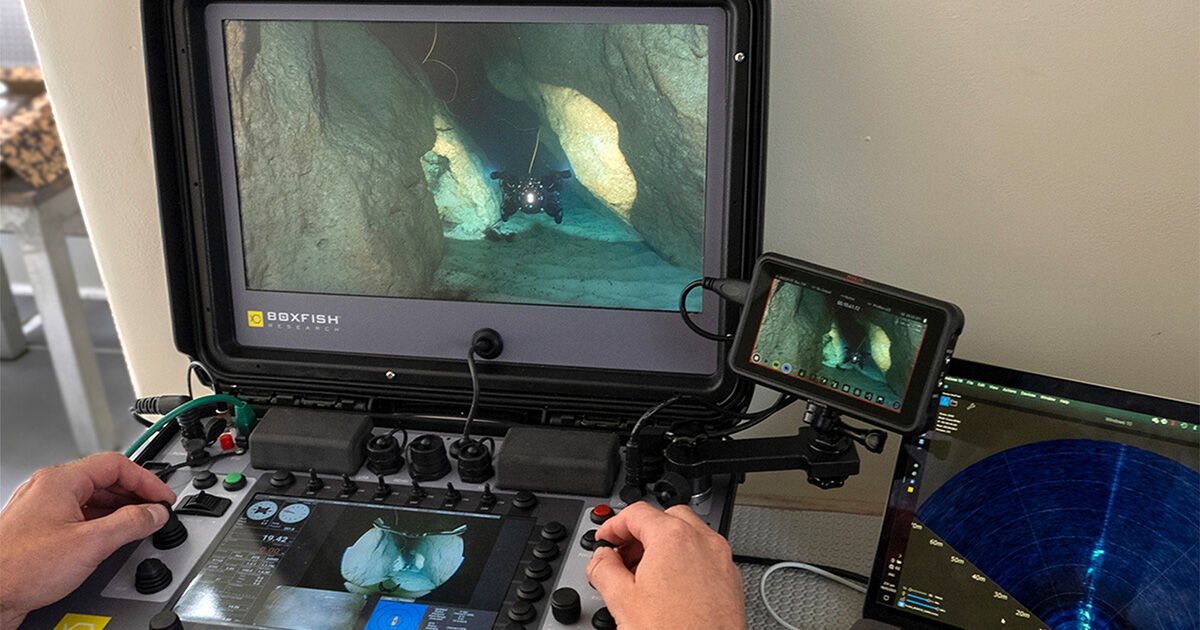 boxfishrobotics's tweet photo. #BoxfishROV control console: โ
17โ 4K UHD main display โ
Intuitive and easy-to-use โ
Weatherproof โ
Multiple add-on connections. Learn more: https://t.co/bj2xlP5Vu8 #oceanexploration #underwatersurvey #assetsinspection #commercialdiving #marinescience https://t.co/IbZUOidOia