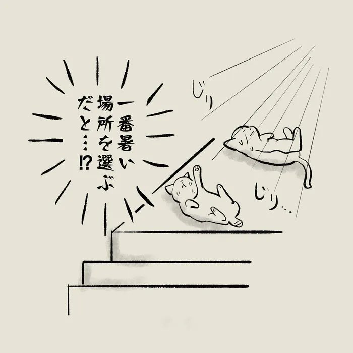 暑い夏、溶け出す猫たち。クーラーを入れるとある行動に出て…!?【連載】交通事故にあった猫を拾いました#75|ねこのきもちWEB MAGAZINE https://t.co/LXhbfswufD