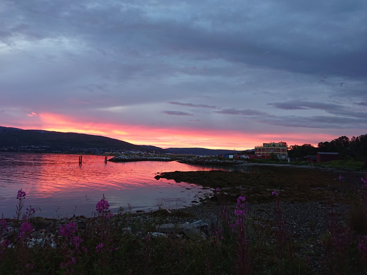 MartinP140387's tweet photo. Tromsø this evening
#Tromsø #sunset #StormHour #PhotoOfTheDay https://t.co/NyZbyzYLVX