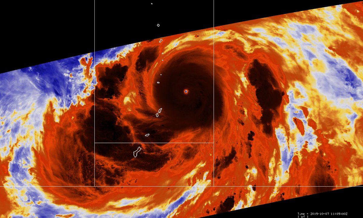 Interesting how no one talks about this METOP AVHRR polar pass of typhoon Hagibis 2019 ~30 minutes after its peak. The eye temperature is 20C here but may be somewhat warmer due to the small eye combined with a higher viewing angle. #wxtwitter