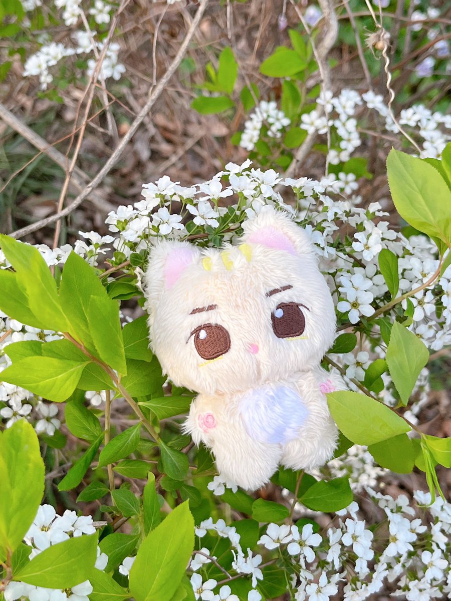 Catherine_Icon's tweet photo. ‼️U.S MOA <3
If anyone is interested in joining a USA GO for this Taehyun 10cm plushie by tyundung, pls let @liLac_hobi know!☺️✨ they are thinking of opening one!!
🏷#txtgrouporder group order us https://t.co/FT4cZyg4qS
