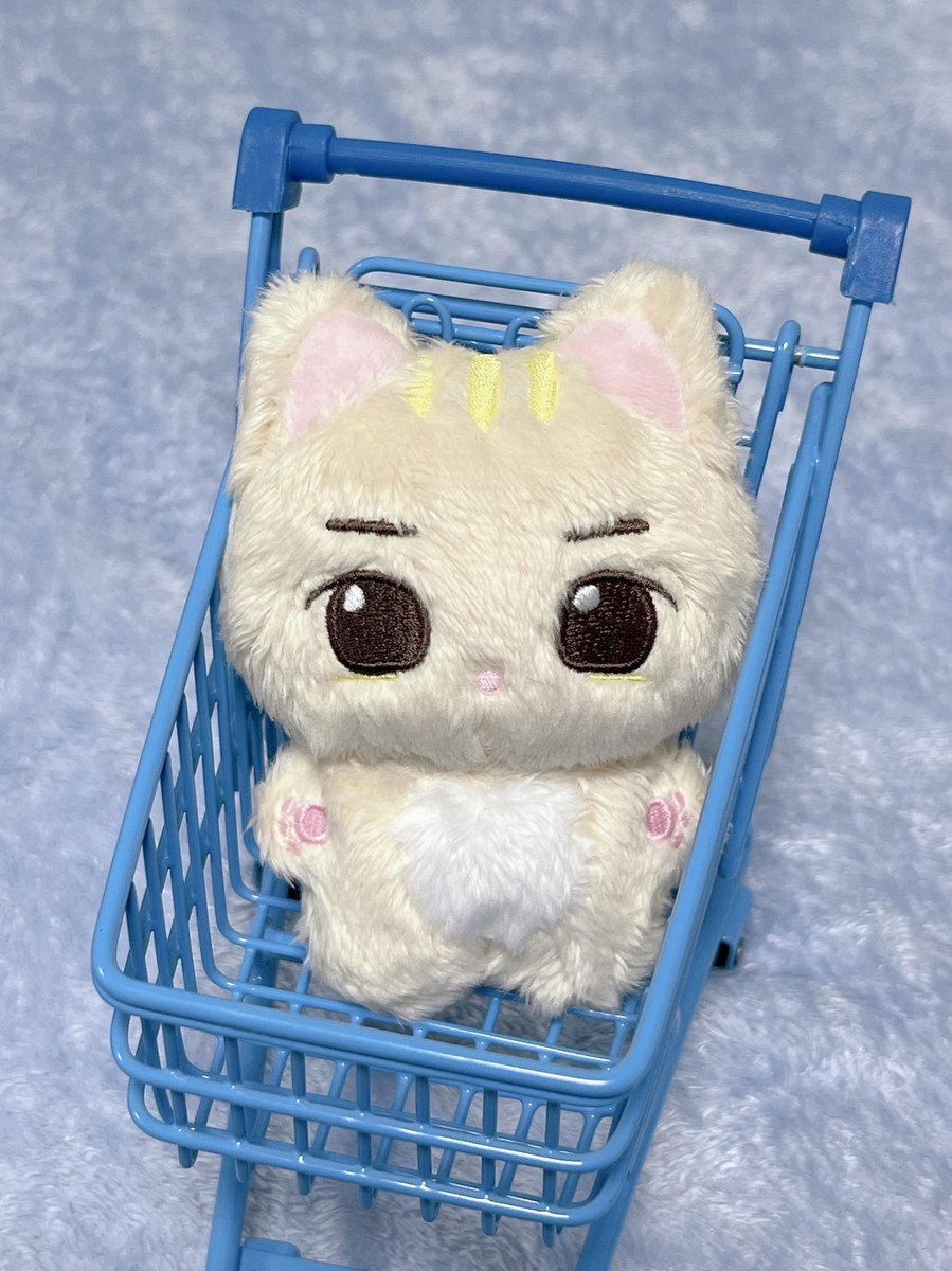 Catherine_Icon's tweet photo. ‼️U.S MOA <3
If anyone is interested in joining a USA GO for this Taehyun 10cm plushie by tyundung, pls let @liLac_hobi know!☺️✨ they are thinking of opening one!!
🏷#txtgrouporder group order us https://t.co/FT4cZyg4qS