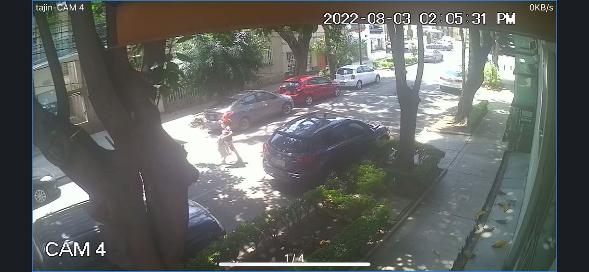 CARELL Profesionales en Impermeablización tweet media