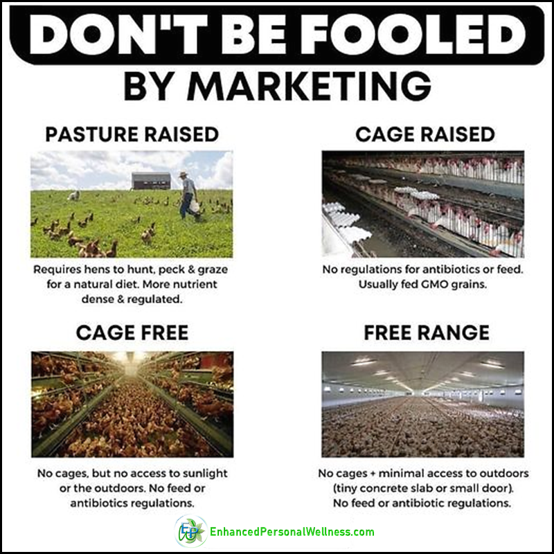 realEPWell's tweet photo. 🐔Happy hens🐔Researchers found that one pasture-raised egg contains twice as much omega-3 fat, three times more vitamin D, four times more vitamin E, and seven times more beta-carotene than eggs from hens raised on traditional feed.
#pastureraisedeggs #happyhenslayhealthyeggs https://t.co/qlNlijThAR