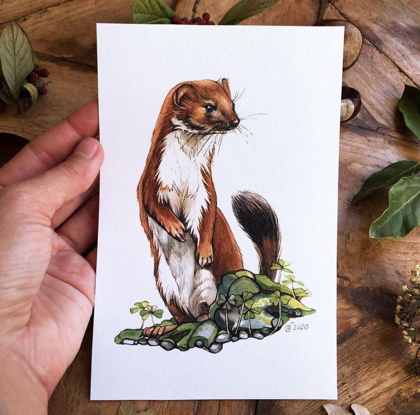 c_crossing_'s tweet photo. Join us in welcoming some exciting additions to the virtual gallery! 😁🌿 This week, we are proud to feature many new artists, including natural journal illustrator Alex Boon! Find these pieces and more on https://t.co/3jjk1u0HGK https://t.co/NmlEZ6J7nj