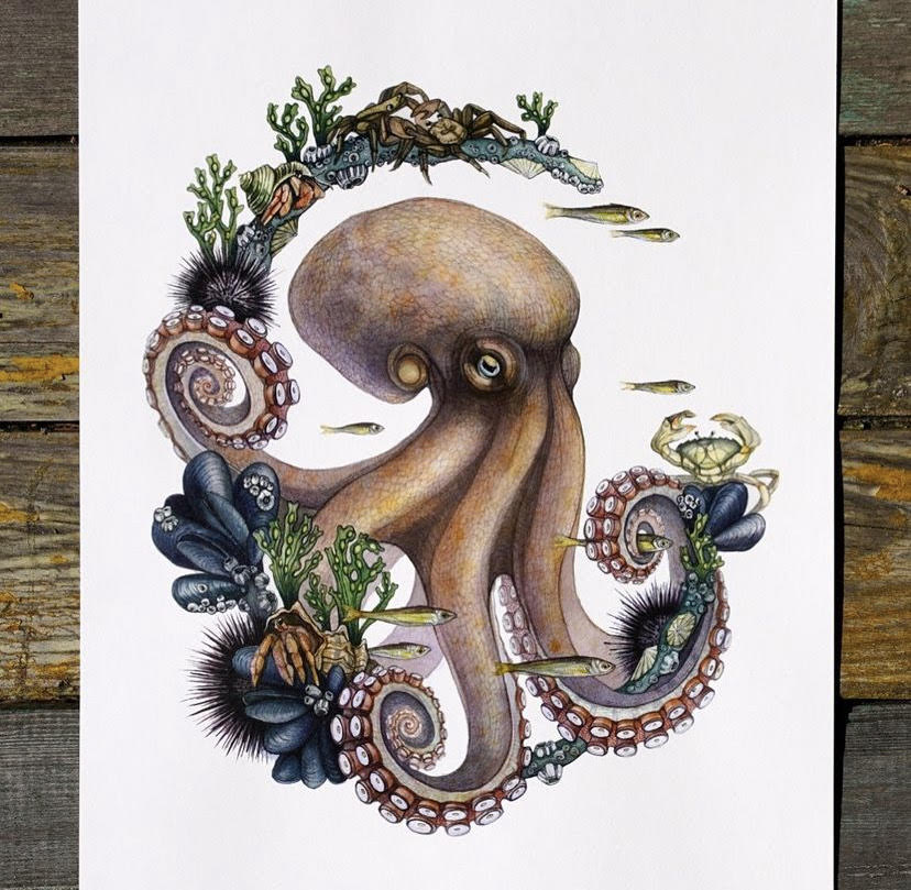 c_crossing_'s tweet photo. Join us in welcoming some exciting additions to the virtual gallery! 😁🌿 This week, we are proud to feature many new artists, including natural journal illustrator Alex Boon! Find these pieces and more on https://t.co/3jjk1u0HGK https://t.co/NmlEZ6J7nj