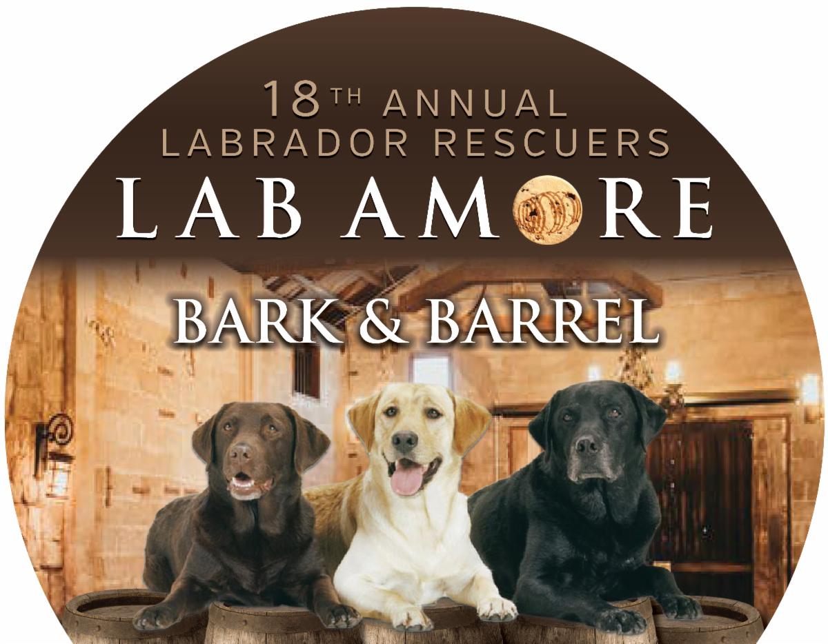 LabRescuersSD's tweet image. Lab Amore online auction is now open! 
accelevents.com/e/labamore2022…
conta.cc/3Jrn9XB