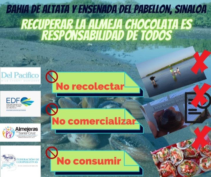 Y si me ayudan a compartir 😃
<a href="/EDF_Espanol/">EDF en Español</a> 
<a href="/isapesca/">Instituto Sinaloense de Acuacultura y Pesca</a> 
<a href="/inapesca/">INAPESCA</a> 
<a href="/delpacificoSF/">Del Pacifico Seafood</a> 
<a href="/Conapesca/">Conapesca</a> 👇
Sancionar a quien no presente factura de dónde se compró esa almeja que comercializa🧐❌