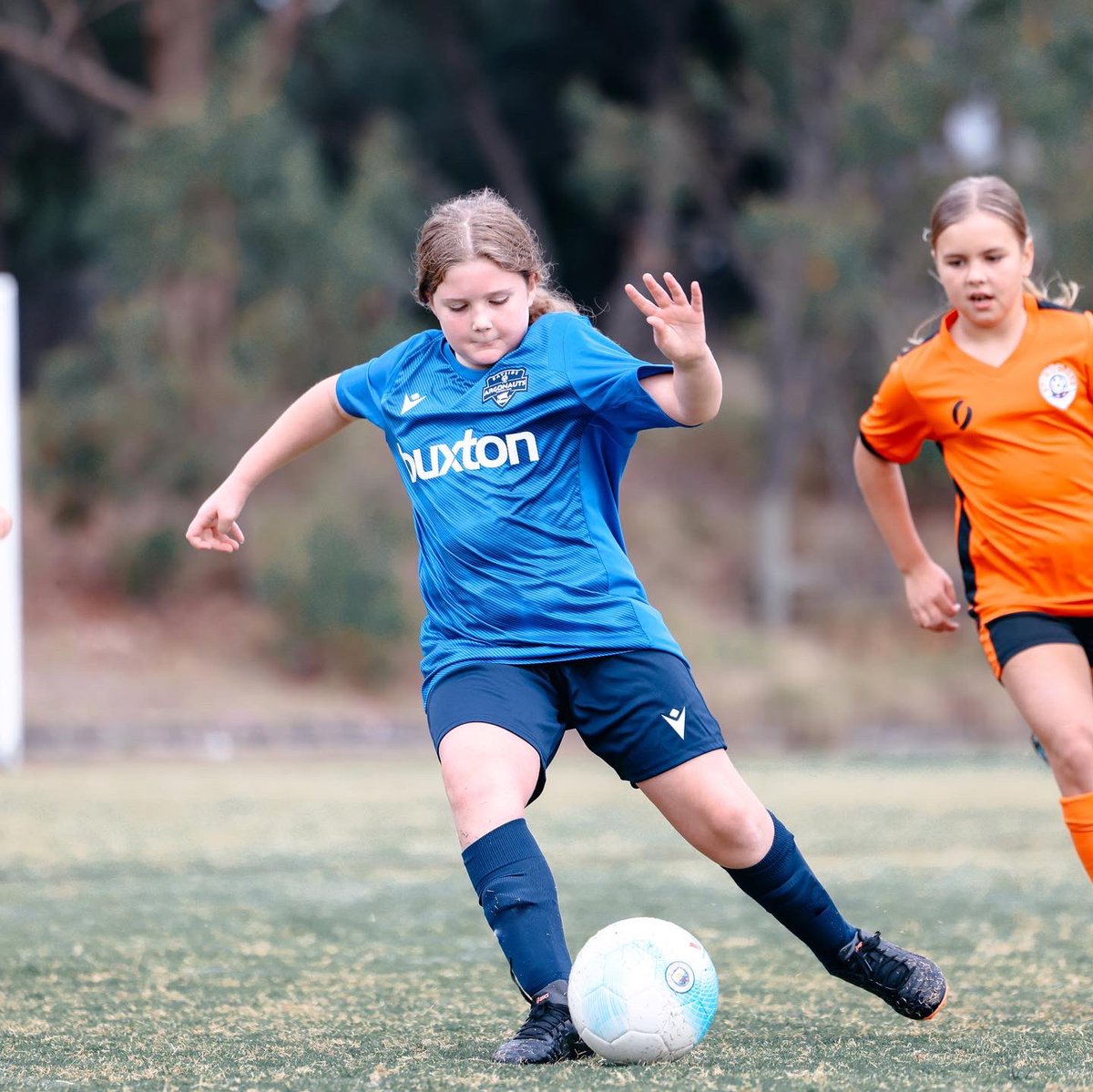 BAYSIDE ARGONAUTS FC tweet media