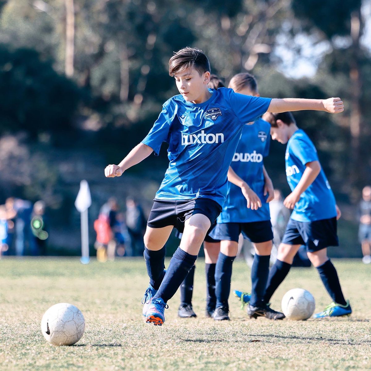 BAYSIDE ARGONAUTS FC tweet media