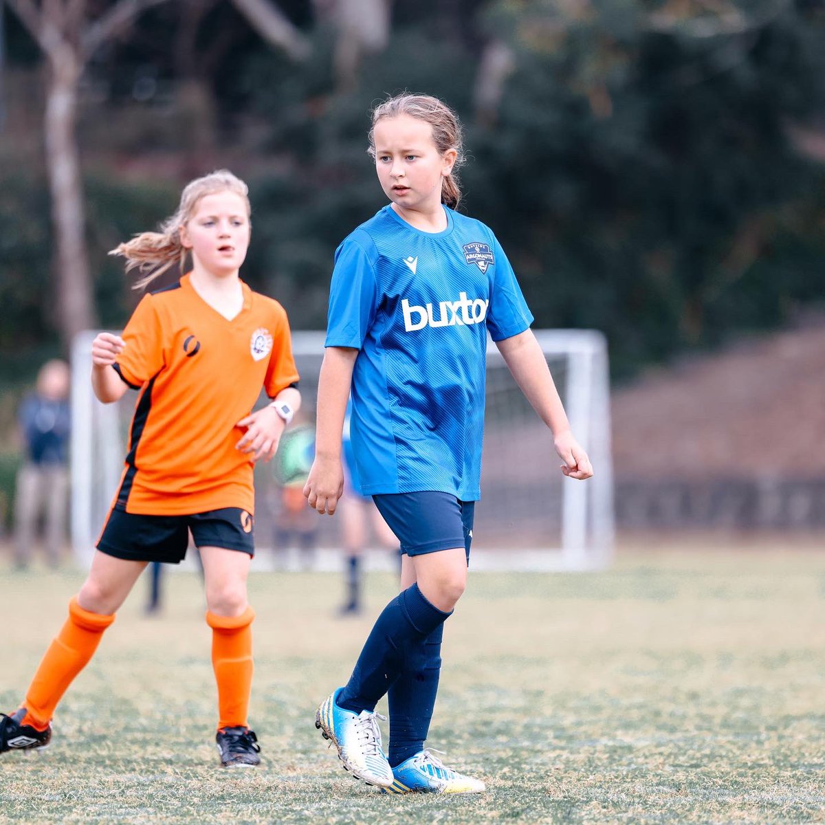 BAYSIDE ARGONAUTS FC tweet media