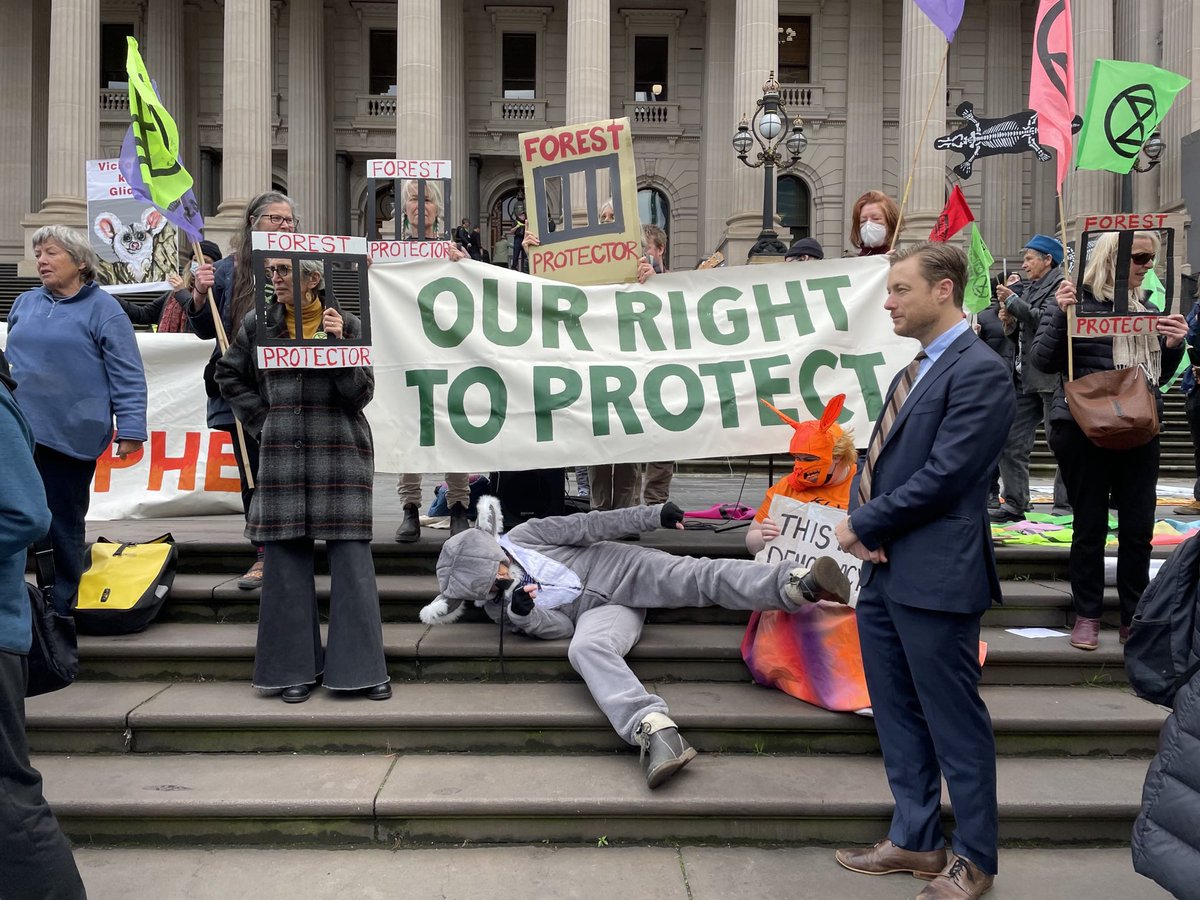 XRVicAus's tweet photo. Outside Victorian parliament- we demand our right to protect our precious environment and biodiversity #liggingiscriminalinaclimateemeegency https://t.co/fQtROUhLL1