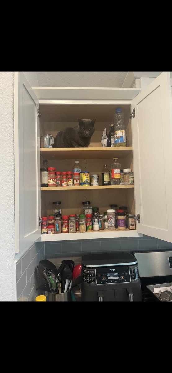 KodyAnderson's tweet photo. Really need to reorganize the spice cabinet https://t.co/pzWxwFVYYZ