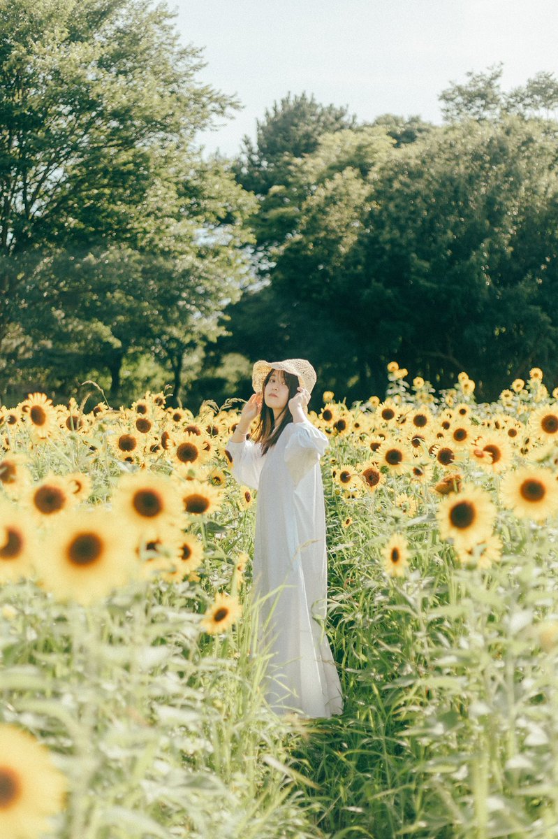Line666Melody's tweet photo. 夏のポートレート。

 #ポートレート #portrait #ヒマワリ #向日葵 #葛西臨海公園 #被写体募集 #出張撮影 #キリトリセカイ #ファインダー越しの私の世界 https://t.co/R8onRWIuTM