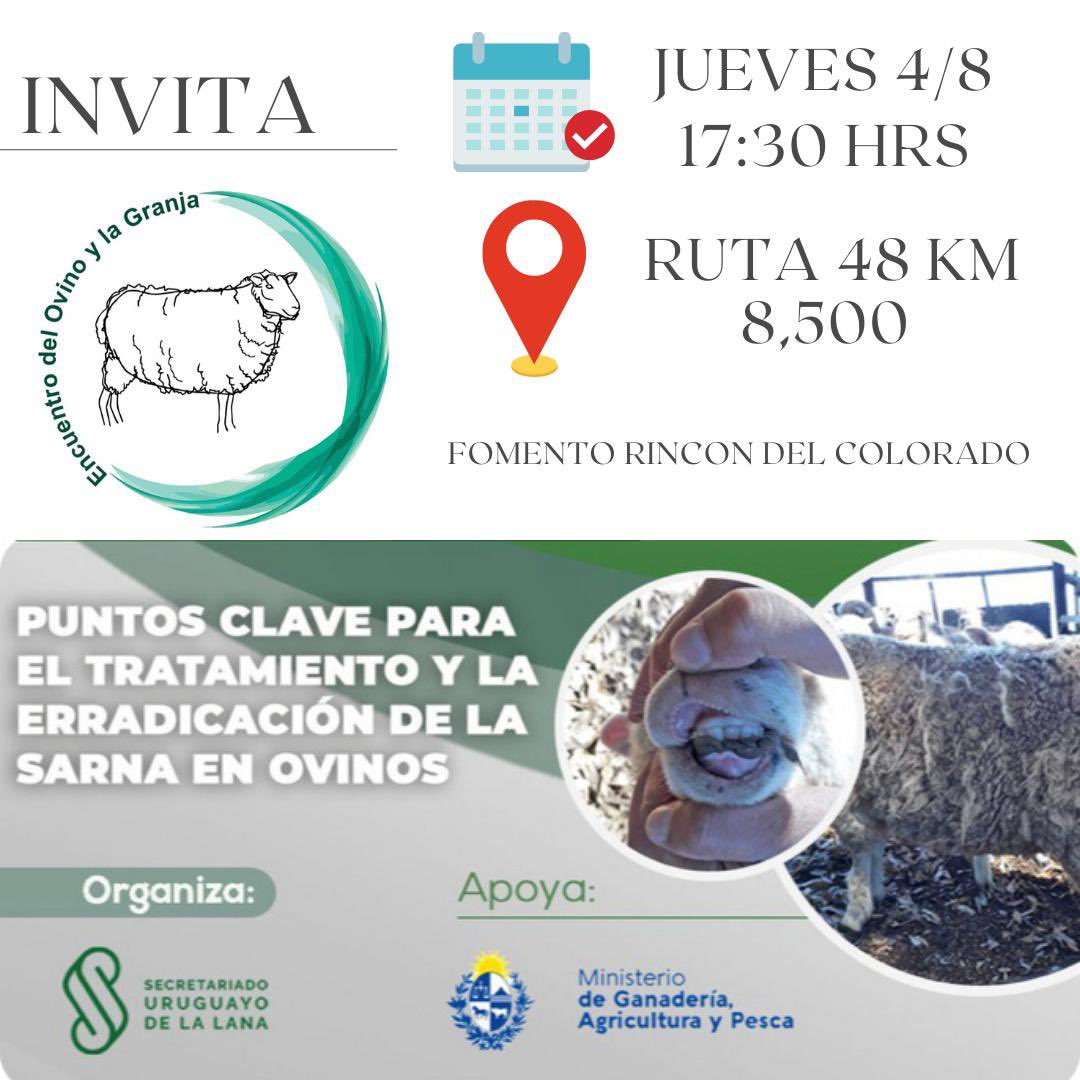 Mañana charla sobre control y erradicación de PIOJO Y SARNA <a href="/del_ovino/">Encuentro del Ovino y la Granja</a> <a href="/SUL_uy/">SUL</a> <a href="/MGAPUruguay/">MGAP</a>