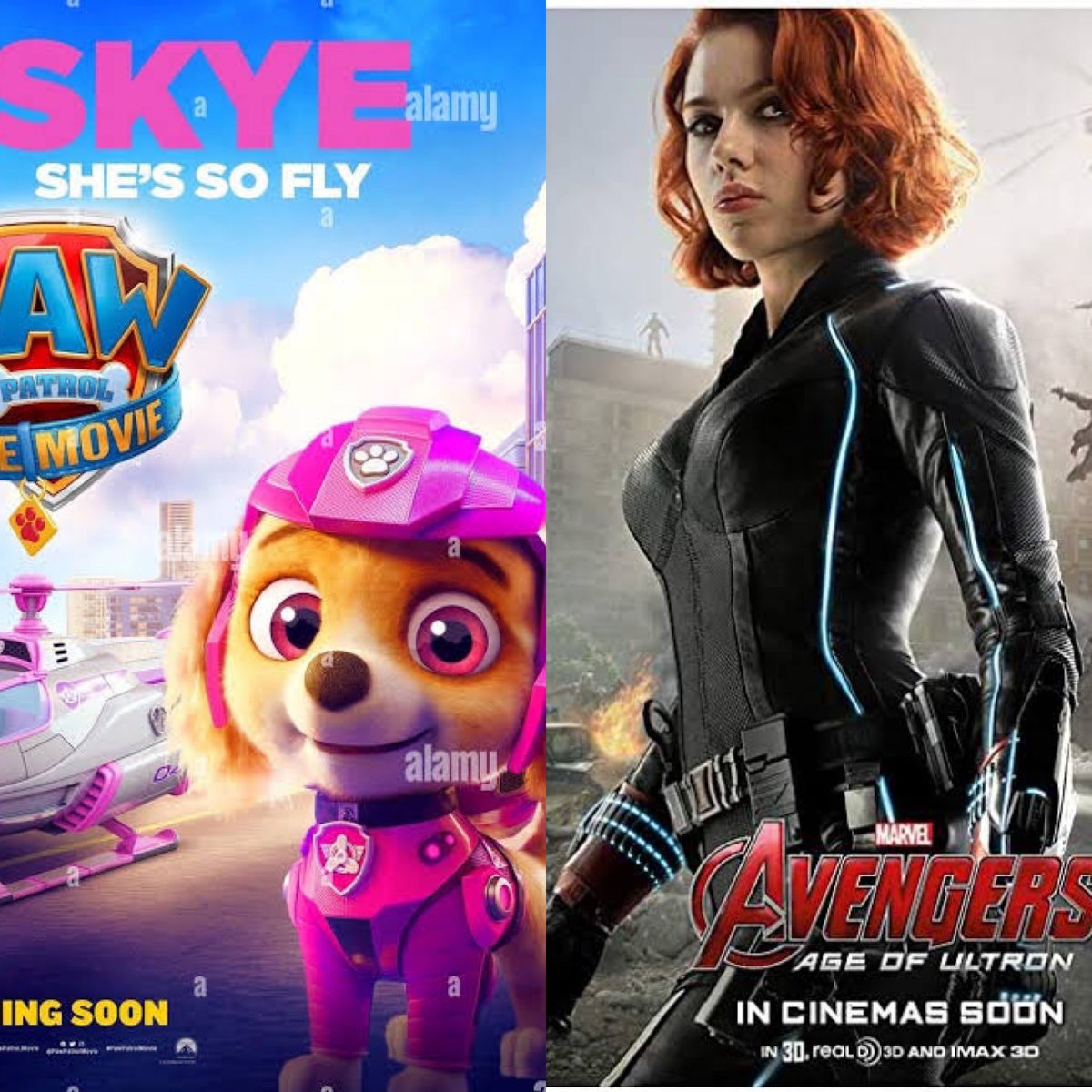 OlgaGdC's tweet photo. Skye de Paw Patrol es la Black Widow de Avengers. Hembras/ mujeres chingonas 💜 https://t.co/hsrLWVyxyp