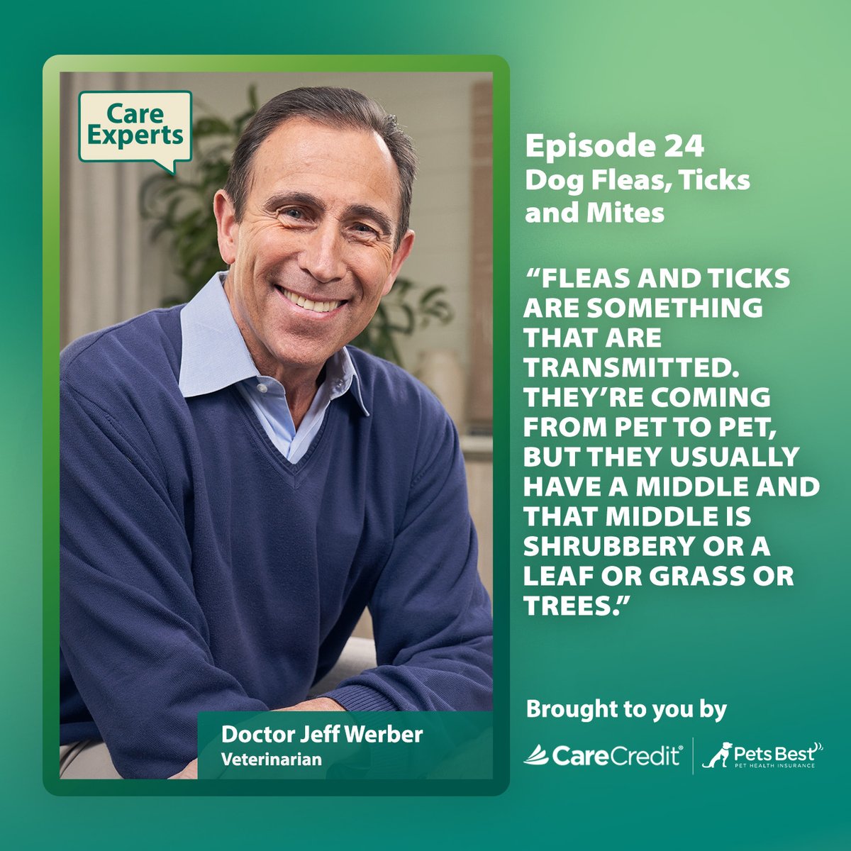 CareCredit (@carecredit) on Twitter photo Dog owners: Dr. Werber provides what he thinks are the best ways to help prevent pests from latching onto your dog. Check out this episode of #CareExpert by <a href="/CareCredit/">CareCredit</a>. Dog owners: Dr. Werber provides what he thinks are the best ways to help prevent pests from latching onto your dog. Check out this episode of #CareExpert by <a href="/CareCredit/">CareCredit</a>.