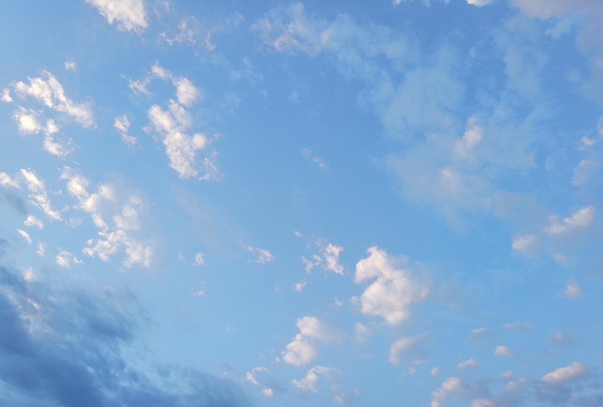 leonidus_st's tweet photo. Мовий осмон ☁️🔵
#blueskychallenge #nofilter
#Andijan https://t.co/GKusknAxiz