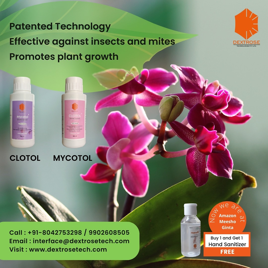 Aravind39758402's tweet image. Contains 100% natural components, removes waxy secretions of insects and the webs of spider mites.

Buy Now at Amazon:
amazon.in/s?k=dextrose%2…...
Buy Now at Zinta:
gintaa.com/profile

#dextrosetechnologies #biotechnology_science #pesticidetesting #fooodtesting #foliarspray