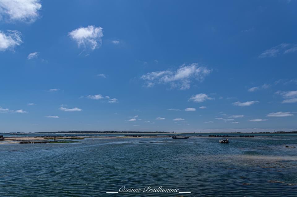 CorinnePrudhom3's tweet photo. #lansedupo au fond de la baie de #Quiberon sur la commune de #Carnac son petit #portdepeche ses sites #ostreicoles 🦪🦪🦪 son #chemincotier dont les paysages sont protégés par la zone #natura2000 un coin de #Bretagne authentique 💙💙💙 #Morbihan https://t.co/1jjUTwu3G0