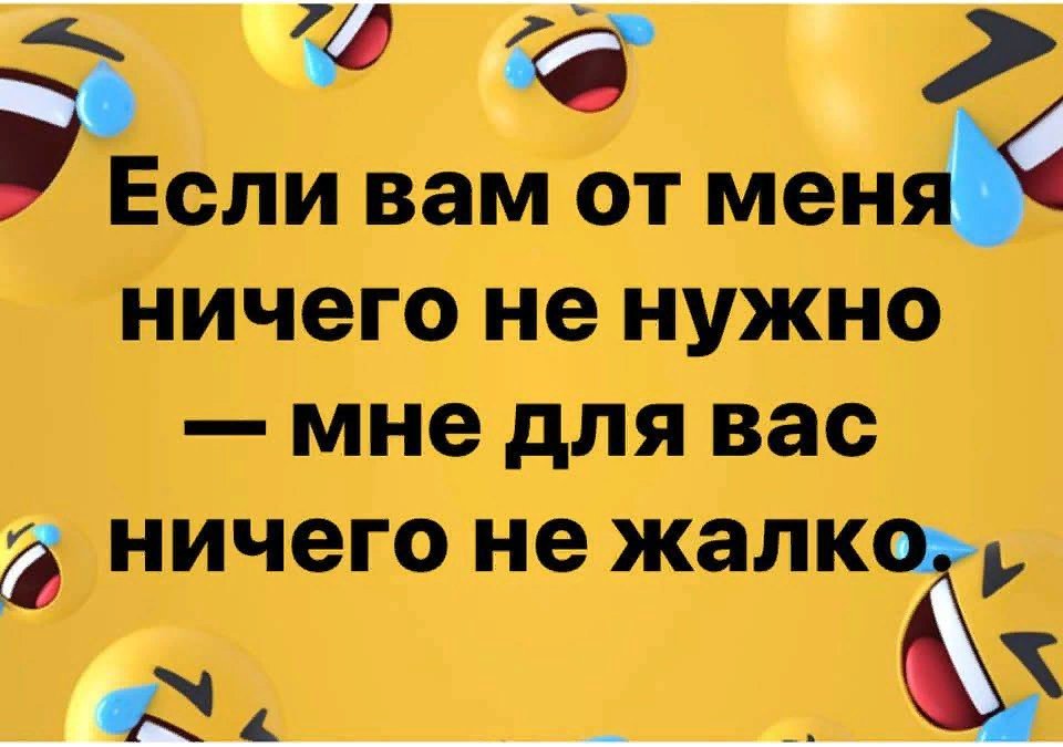 Вацлав (@kot_vi1) on Twitter photo 