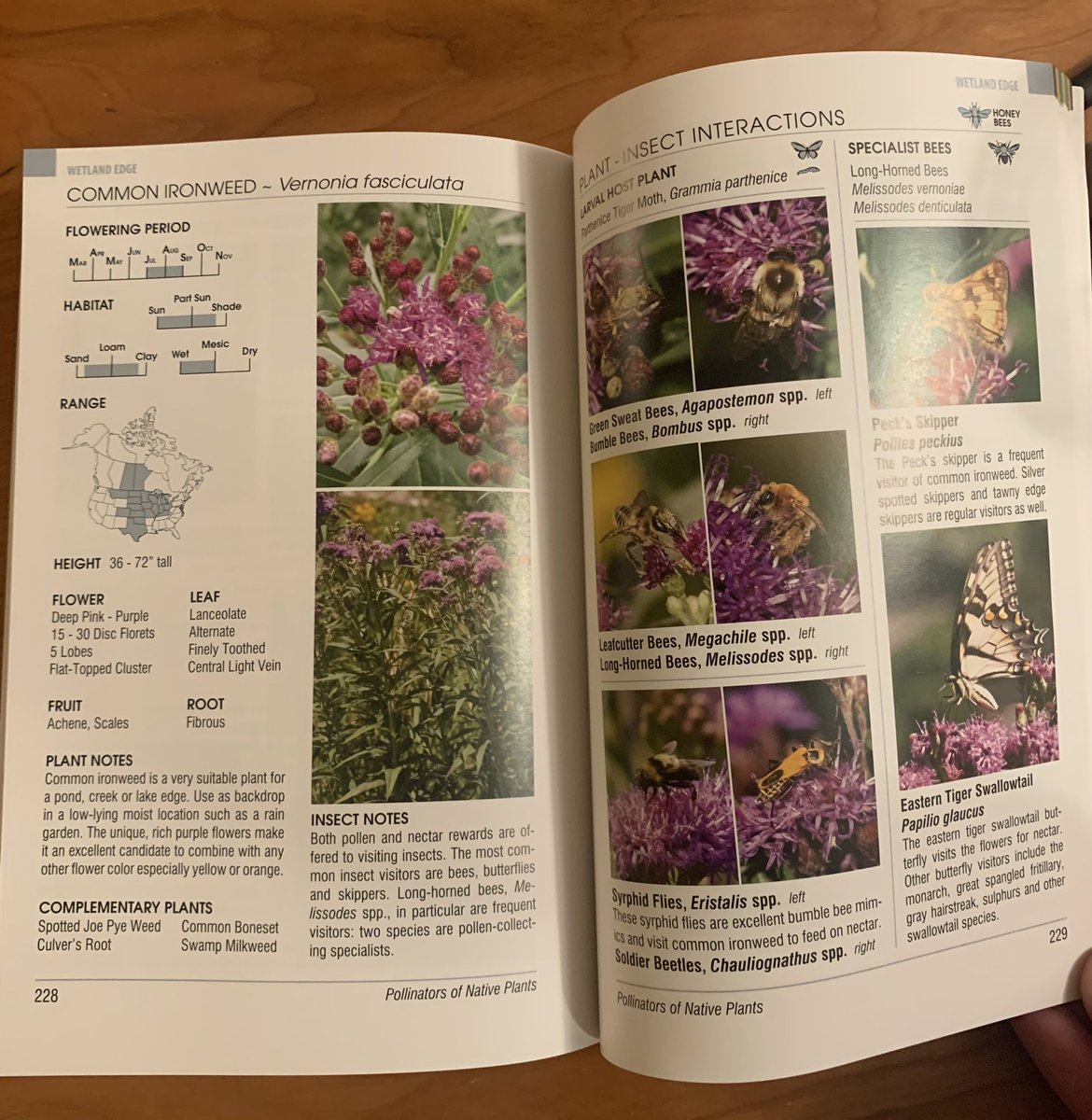 We got Pollinators of Native Plants by <a href="/BeesNativePlant/">Heather Holm</a> in the mail today and it is such an amazing book. Just so much incredible information with amazing pictures and tips/best practices/instructions. Super excited haha