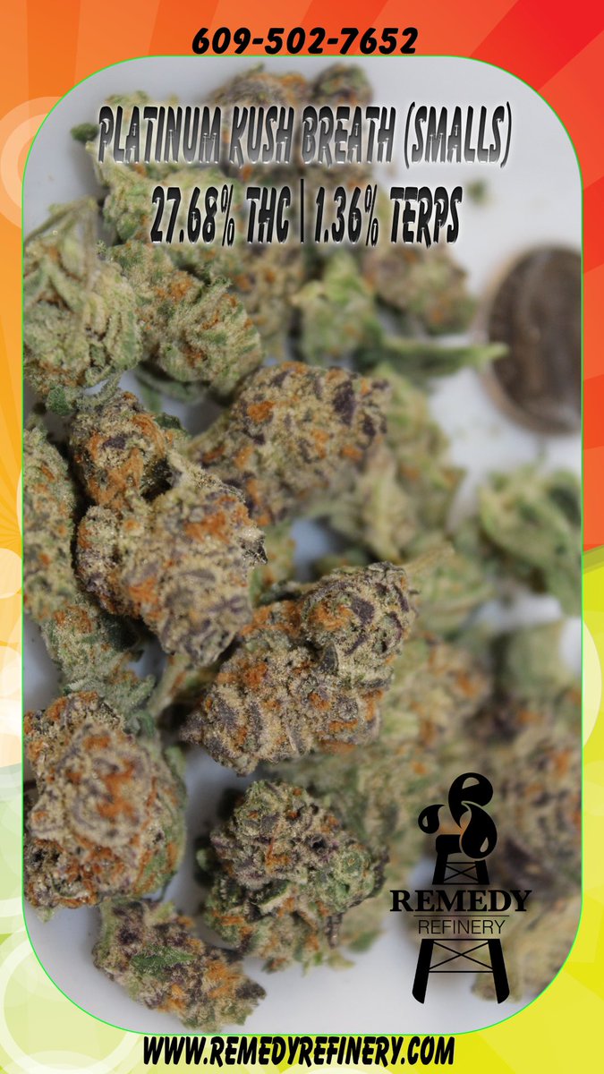 RemedyRefinery's tweet image. Platinum kush breath, #tapin #getrefined #itstime #onlythefinestinok