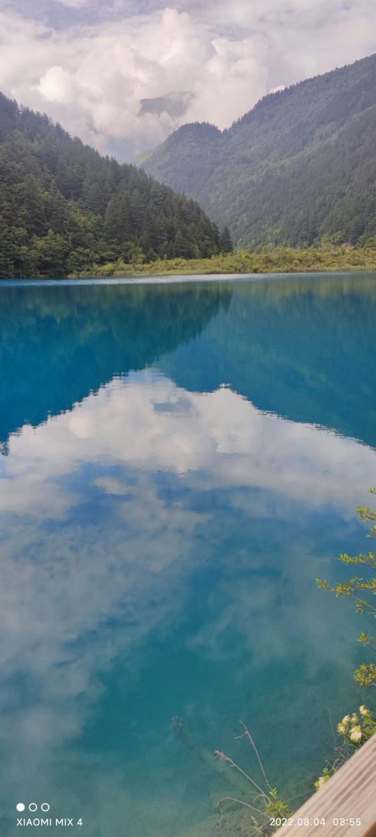 bbdshine's tweet image. lake water 3