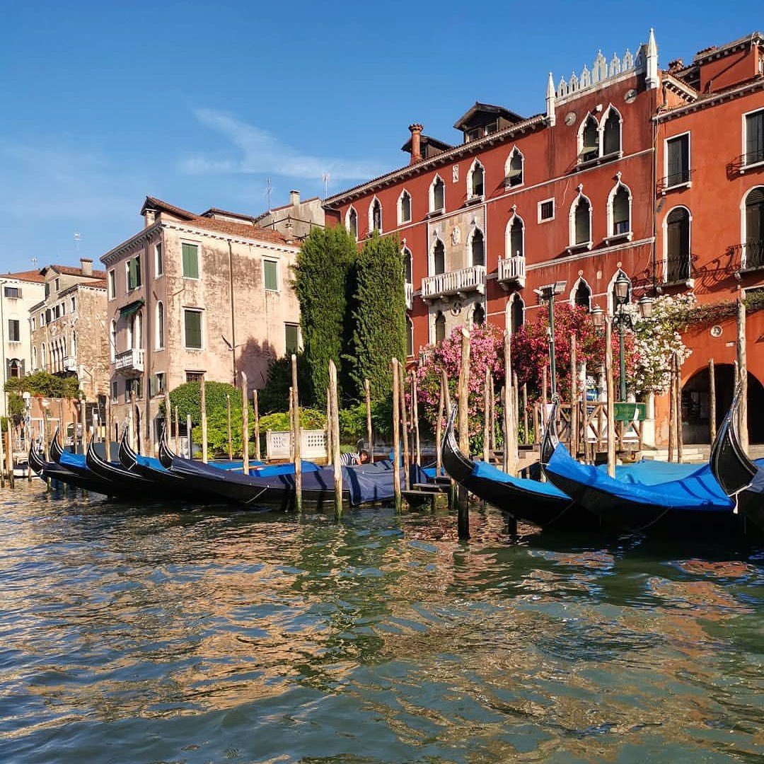 Teatro La Fenice tweet media